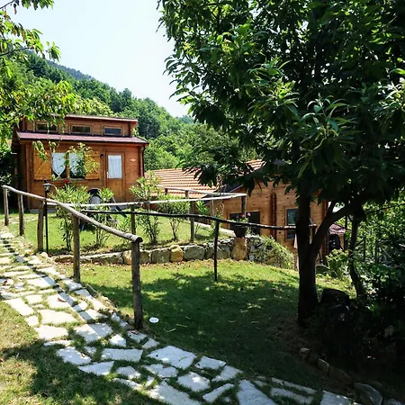 Village House With A Pool 펜션 Magliolo